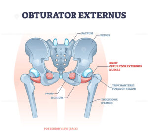 Morris County NJ best Holistic treatment For Hip Pain